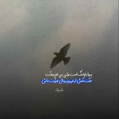 دانلود آهنگ  بین منه در بورین این شهر بوی غم دارنه بهنام حسن زاده