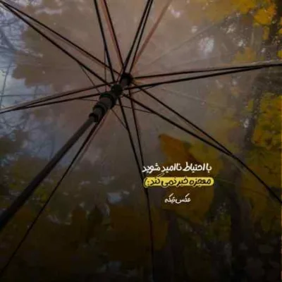 دانلود آهنگ بذار رک بگم از همه ترسیدم