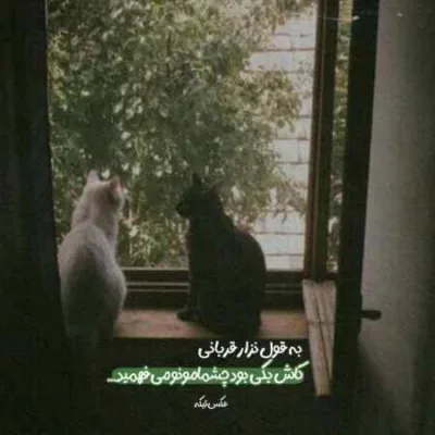 دانلود آهنگ  بزار رو سینم سرتو چشمای خیسو ترتو امید