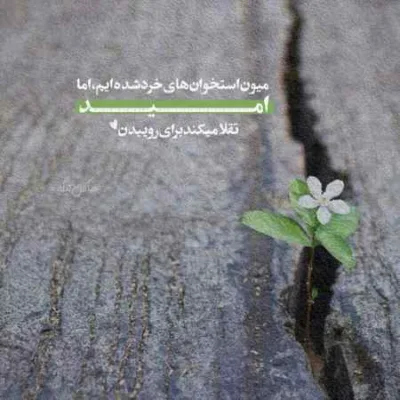 دانلود آهنگ چقد امشب خرابم نمیتونم بخوابم سعید کریمی