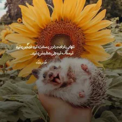 دانلود آهنگ چی فکر کردی که میگی دیگه نمیخوای منو محمد محرمی دانلود آهنگ چی فکر کردی که میگی دیگه نمیخوای منو محمد محرمی