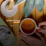 دانلود آهنگ داوای داوای دیرام دیرام تاک داون دانلود آهنگ داوای داوای دیرام دیرام تاک داون
