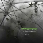 دانلود آهنگ دلتنگی و خیال یار منو دیوونم کرده داوود یونسی دانلود آهنگ دلتنگی و خیال یار منو دیوونم کرده داوود یونسی