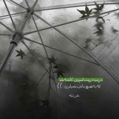 دانلود آهنگ دلتنگی و خیال یار منو دیوونم کرده داوود یونسی