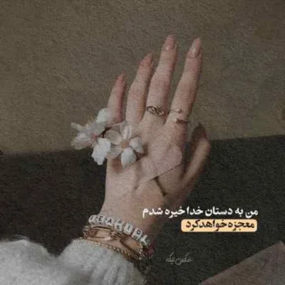 دانلود آهنگ ذره ذره عاشق دلم وابیه همسایی شقایق گلم وابیه فرشید حکمتی دانلود آهنگ ذره ذره عاشق دلم وابیه همسایی شقایق گلم وابیه فرشید حکمتی