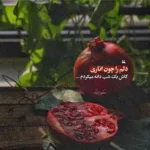 دانلود آهنگ یه باری از امروز رو دوشته حامد زمانی دانلود آهنگ یه باری از امروز رو دوشته حامد زمانی