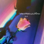 دانلود آهنگ هرچی میخره من میدم هزینشو دانلود آهنگ هرچی میخره من میدم هزینشو
