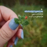 دانلود آهنگ هلویی تورو با پوست میخورم