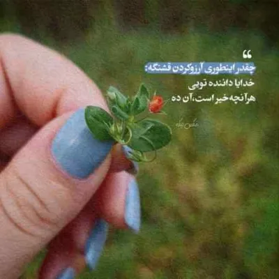دانلود آهنگ هلویی تورو با پوست میخورم