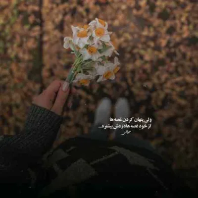دانلود آهنگ کفتر جفتگم مالم رمانی روح الله کرمی