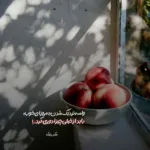 دانلود آهنگ خامه زلزله بووم همین دل مله دووم از پرهام کریمی