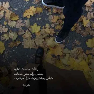دانلود آهنگ کی بیشتر از من برات میمیره هوش مصنوعی