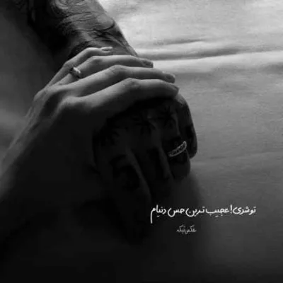 دانلود آهنگ مهیار نیلوفر آبی دانلود آهنگ مهیار نیلوفر آبی