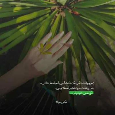 دانلود آهنگ ﻣﻨﻢ ﻋﺎﺷﻘﺘﻢ ﻫﺴﺘﻤﻪ اﻣﺸﻮ ﺧﻞ ﻣﺴﺘﻤﻪ ﺟﺎده رو ﺑﺴﺘﻤﻪ نیما گلنژاد دانلود آهنگ ﻣﻨﻢ ﻋﺎﺷﻘﺘﻢ ﻫﺴﺘﻤﻪ اﻣﺸﻮ ﺧﻞ ﻣﺴﺘﻤﻪ ﺟﺎده رو ﺑﺴﺘﻤﻪ نیما گلنژاد