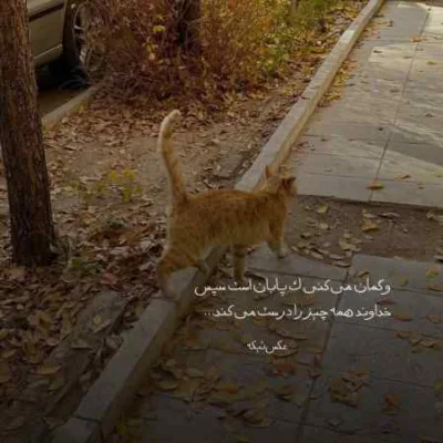 دانلود آهنگ مثل اون الماس که عمق دریاس فکر میکردم که تکی ابوالفضل وظیفه