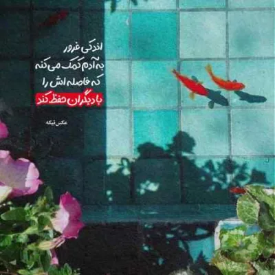 دانلود آهنگ  میخوای گریه کنی گریه کن بی تربیت پرهام کریمی
