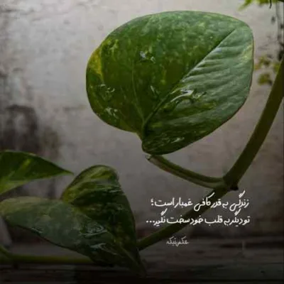 دانلود آهنگ نبود به نفعت خاطره هامون دفع شه سیجل دانلود آهنگ نبود به نفعت خاطره هامون دفع شه سیجل