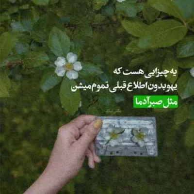 دانلود آهنگ  سلول به سلول تنت سهم خودمه امید عقابی