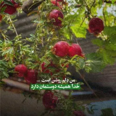 دانلود آهنگ راه میرم متر به متر توی خونه مودی بودن مودمونه شایع