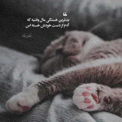 دانلود آهنگ مو یارم بی خبر رفته سفر دیر کرده