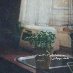 دانلود آهنگ تو نباشی چه امیدی به دل خسته من تو محمد اصفهانی