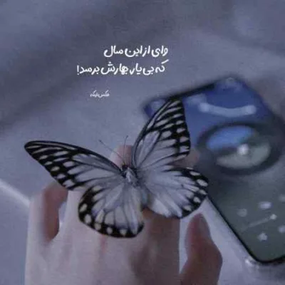 دانلود آهنگ  تویی همه کس و دارو ندارم ازت چشم بر نمیدارم سعید کیان
