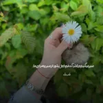 دانلود آهنگ توی سینم درده بگو برگرده چرا باهام سرده
