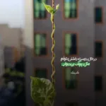 دانلود آهنگ یارم یارم یارم سی تیلت غمبارم هوش مصنوعی