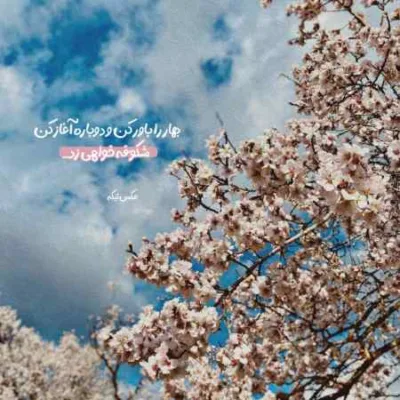 دانلود آهنگ دافم ازم راضیه چسبه من نمیگیرم دانلود آهنگ دافم ازم راضیه چسبه من نمیگیرم