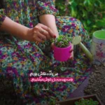 دانلود آهنگ لات بشی تورو بوس میکنم من دکترم تورو خوب دانلود آهنگ لات بشی تورو بوس میکنم من دکترم تورو خوب