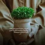 دانلود آهنگ علی سورنا آخرین وسوسه