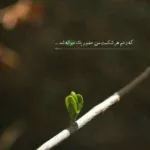 دانلود آهنگ از ما که گذشت واسه تو خوشحالم من سامان جلیلی دانلود آهنگ از ما که گذشت واسه تو خوشحالم من سامان جلیلی