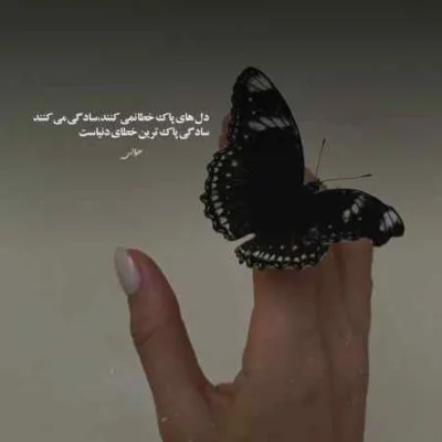 دانلود آهنگ با این حال بیدار باش تا صبح شالیزار هزار کار مسیح و آرش دانلود آهنگ با این حال بیدار باش تا صبح شالیزار هزار کار مسیح و آرش