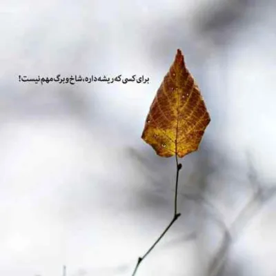 دانلود آهنگ دیگه چشام اشکی نداره نذاشتی واسم راه چاره محمد محرمی