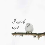 دانلود آهنگ هنوزم بعد تو میمیرم برا تو دورچی دانلود آهنگ هنوزم بعد تو میمیرم برا تو دورچی