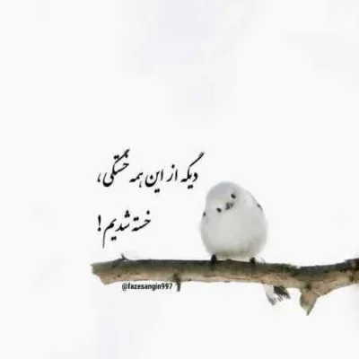دانلود آهنگ هنوزم بعد تو میمیرم برا تو دورچی