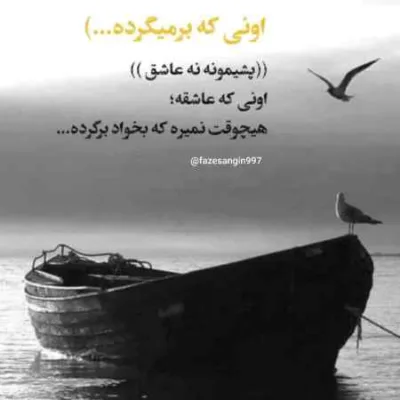 دانلود آهنگ  عین یه گرگ اسیر افتادم تو قلو زنجیر رضا کرمی تارا