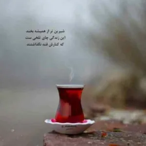 دانلود آهنگ گفتی میری تا پس از من آدم سابق شوی با صدای بچه