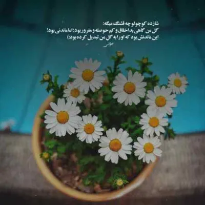 دانلود آهنگ این دیوونه داستان داره صاف وایستاده نایکام پامه شایع دانلود آهنگ این دیوونه داستان داره صاف وایستاده نایکام پامه شایع
