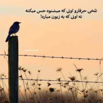 دانلود آهنگ  خیلی وقته دیگه دلم پازله همش خاطرت پیش ما وله کچی بیتز