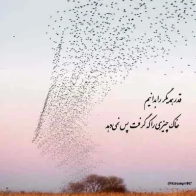 دانلود آهنگ قلبا میخوامت تورو من قلبم مهدی مانی