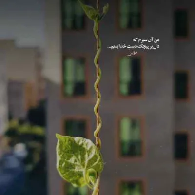 دانلود آهنگ دلبر چیکار هاکردی مسلم فتاحی