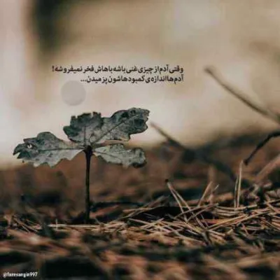 دانلود آهنگ  همه چیم یار یار مسلم فتاحی