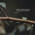 دانلود آهنگ تعالی لیله هد بیدیک مسلم فتاحی