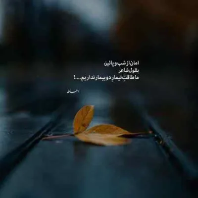 دانلود آهنگ نه نرو نرو نرو نرو نرو لیلا نرو لیلا با صدای دختر