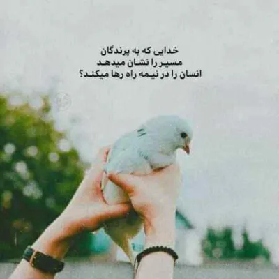 دانلود آهنگ نات کوینو نیستم همسترو آره به امید لیستم انگشتو آره دانلود آهنگ نات کوینو نیستم همسترو آره به امید لیستم انگشتو آره