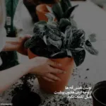 دانلود آهنگ اومدی شهرو میبندم واسه چشمات سینا درخشنده