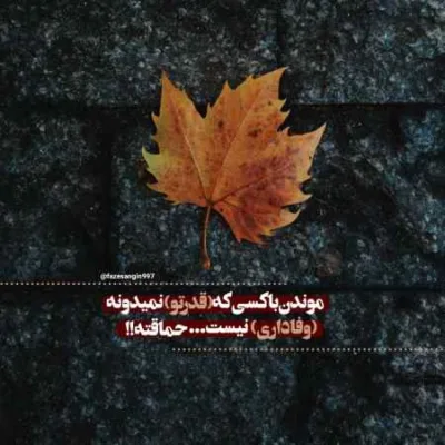 دانلود آهنگ  کسی فکر نکنه مو بی برارم رضا محمدی