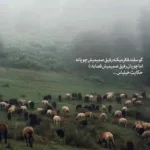 دانلود آهنگ سیل اومد هرچی رویا با خودش برد با صدای زن اصلی دانلود آهنگ سیل اومد هرچی رویا با خودش برد با صدای زن اصلی