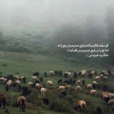 دانلود آهنگ سیل اومد هرچی رویا با خودش برد با صدای زن اصلی دانلود آهنگ سیل اومد هرچی رویا با خودش برد با صدای زن اصلی